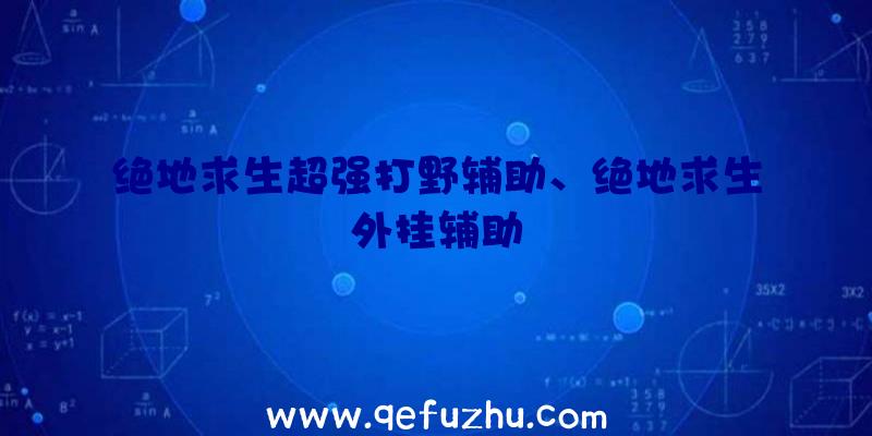 绝地求生超强打野辅助、绝地求生外挂辅助
