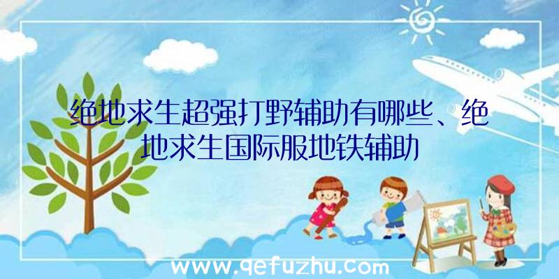 绝地求生超强打野辅助有哪些、绝地求生国际服地铁辅助