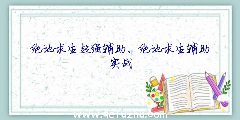 绝地求生超强辅助、绝地求生辅助实战