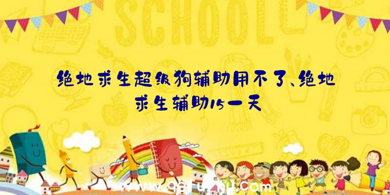 绝地求生超级狗辅助用不了、绝地求生辅助15一天