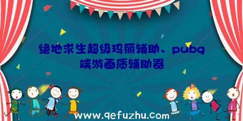 绝地求生超级玛丽辅助、pubg端游画质辅助器