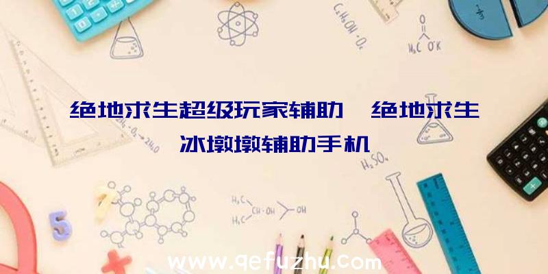 绝地求生超级玩家辅助、绝地求生冰墩墩辅助手机