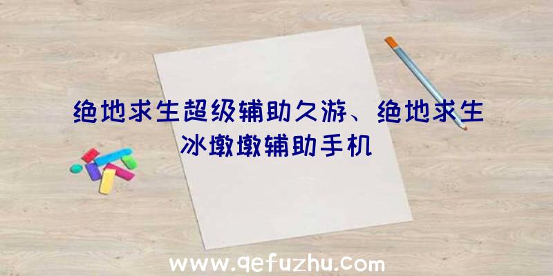 绝地求生超级辅助久游、绝地求生冰墩墩辅助手机