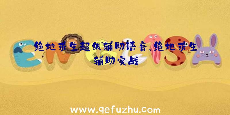 绝地求生超级辅助语音、绝地求生辅助实战