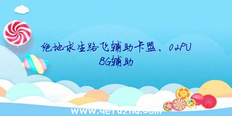 绝地求生路飞辅助卡盟、02PUBG辅助