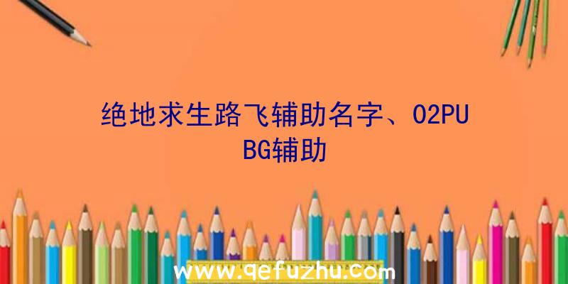 绝地求生路飞辅助名字、02PUBG辅助