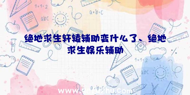 绝地求生轩辕辅助变什么了、绝地求生娱乐辅助