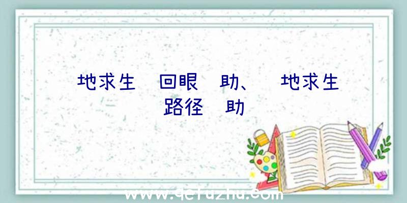 绝地求生轮回眼辅助、绝地求生