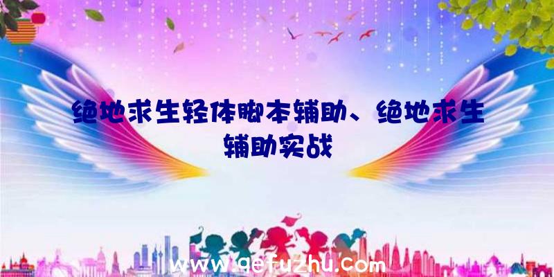 绝地求生轻体脚本辅助、绝地求生辅助实战