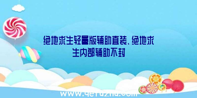 绝地求生轻量版辅助直装、绝地求生内部辅助不封