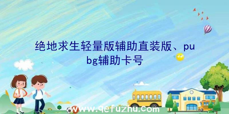 绝地求生轻量版辅助直装版、pubg辅助卡号