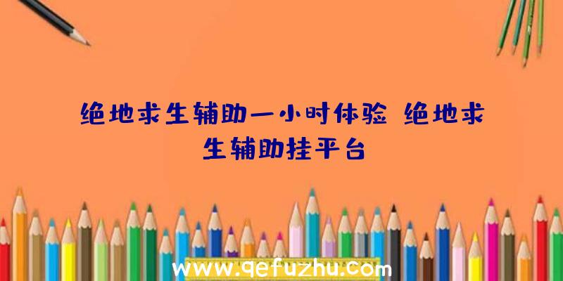 绝地求生辅助一小时体验、绝地求生辅助挂平台