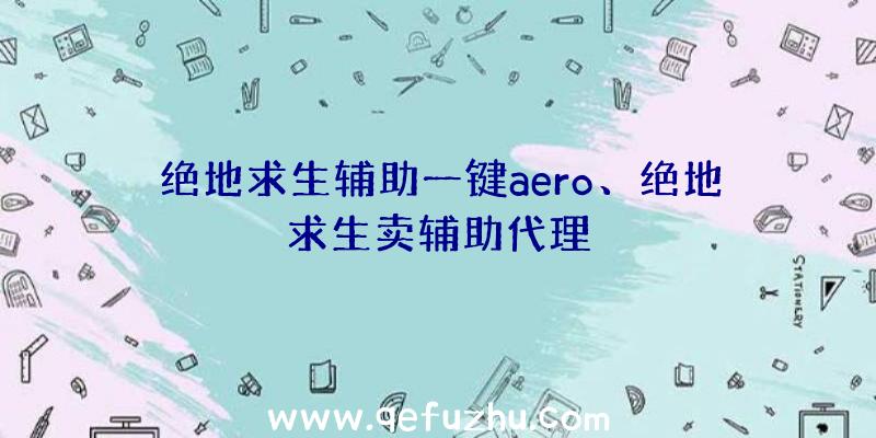 绝地求生辅助一键aero、绝地求生卖辅助代理