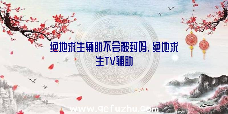 绝地求生辅助不会被封吗、绝地求生TV辅助