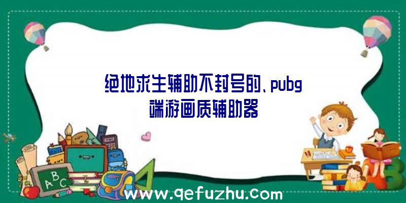 绝地求生辅助不封号的、pubg端游画质辅助器