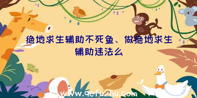 绝地求生辅助不死鱼、做绝地求生辅助违法么