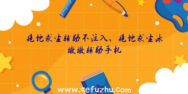 绝地求生辅助不注入、绝地求生冰墩墩辅助手机