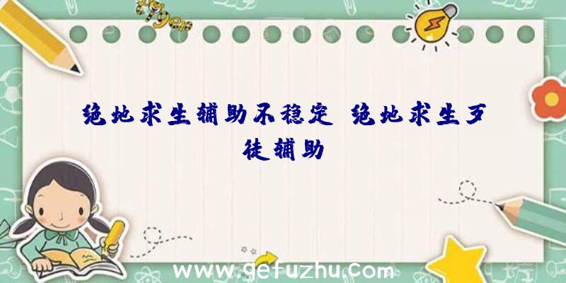 绝地求生辅助不稳定、绝地求生歹徒辅助