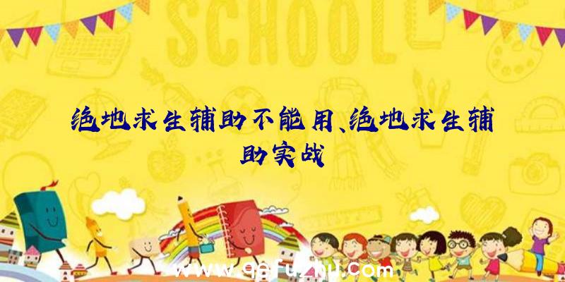 绝地求生辅助不能用、绝地求生辅助实战