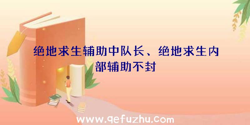 绝地求生辅助中队长、绝地求生内部辅助不封