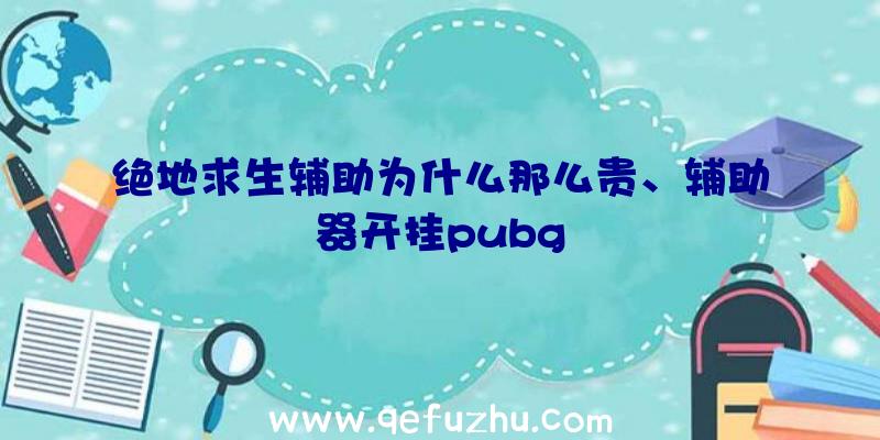 绝地求生辅助为什么那么贵、辅助器开挂pubg