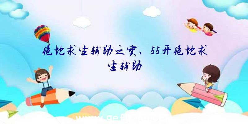 绝地求生辅助之宝、55开绝地求生辅助