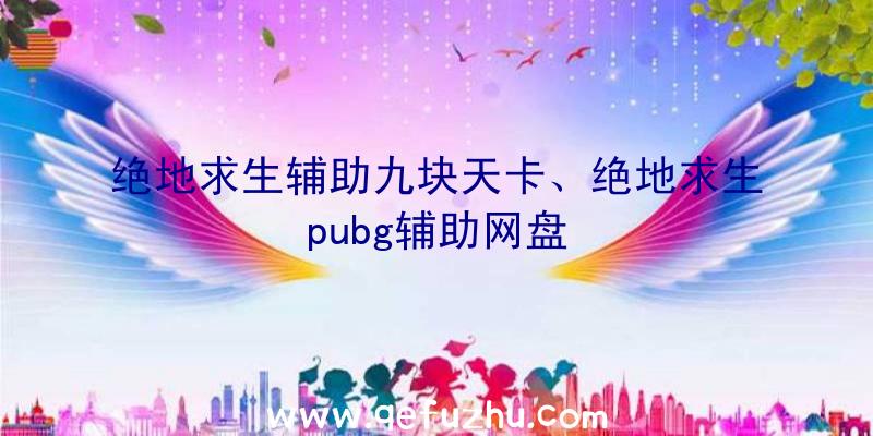 绝地求生辅助九块天卡、绝地求生pubg辅助网盘