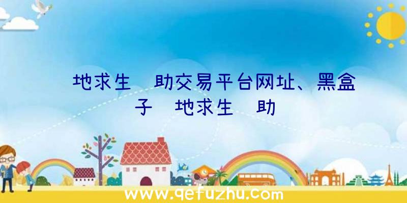 绝地求生辅助交易平台网址、黑盒子绝地求生辅助