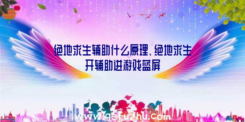 绝地求生辅助什么原理、绝地求生开辅助进游戏蓝屏