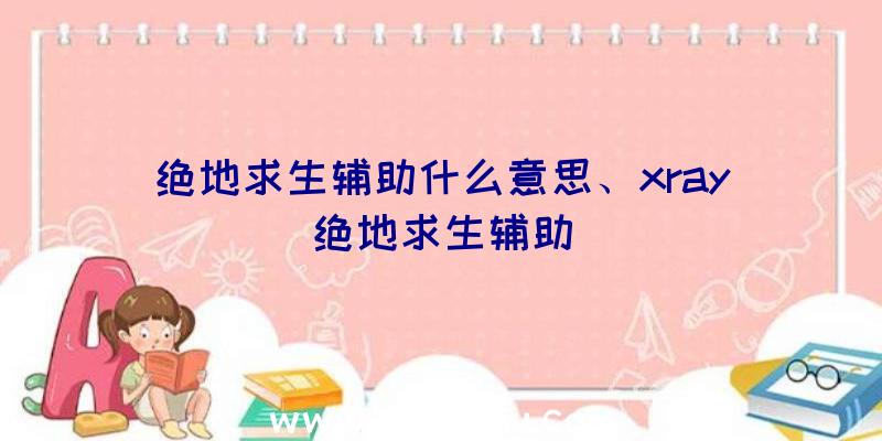 绝地求生辅助什么意思、xray绝地求生辅助