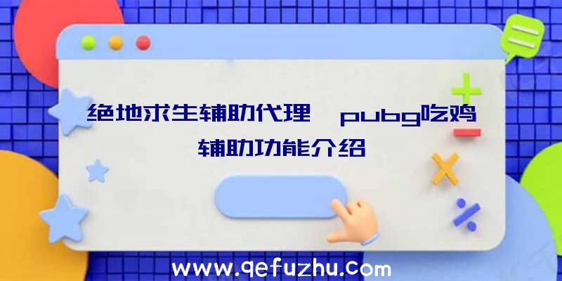 绝地求生辅助代理、pubg吃鸡辅助功能介绍