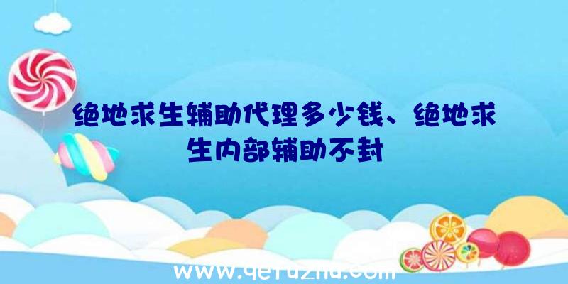 绝地求生辅助代理多少钱、绝地求生内部辅助不封