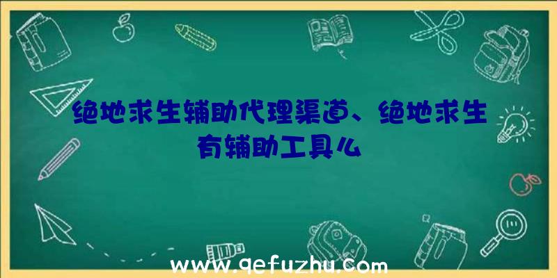 绝地求生辅助代理渠道、绝地求生有辅助工具么