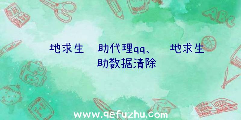 绝地求生辅助代理qq、绝地求生辅助数据清除