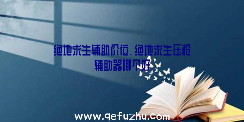 绝地求生辅助价位、绝地求生压枪辅助器哪个好