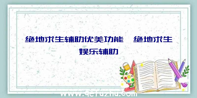 绝地求生辅助优美功能、绝地求生娱乐辅助