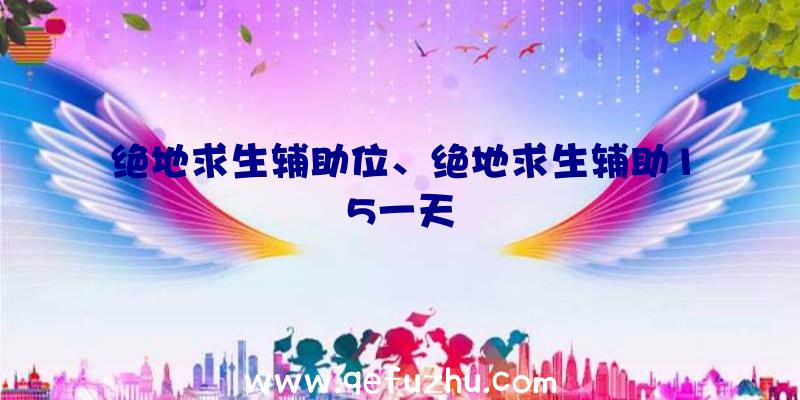 绝地求生辅助位、绝地求生辅助15一天