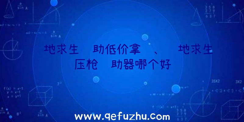 绝地求生辅助低价拿货、绝地求生压枪辅助器哪个好