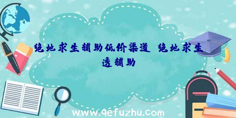 绝地求生辅助低价渠道、绝地求生透辅助