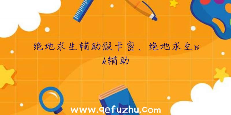 绝地求生辅助假卡密、绝地求生wk辅助