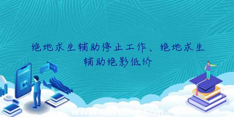 绝地求生辅助停止工作、绝地求生辅助绝影低价