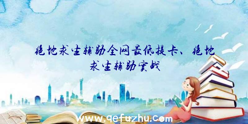 绝地求生辅助全网最低提卡、绝地求生辅助实战