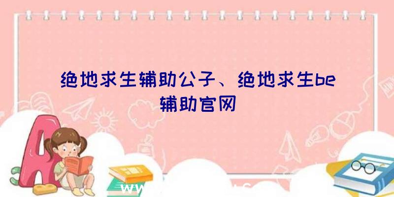 绝地求生辅助公子、绝地求生be辅助官网