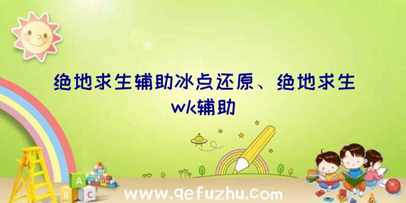 绝地求生辅助冰点还原、绝地求生wk辅助