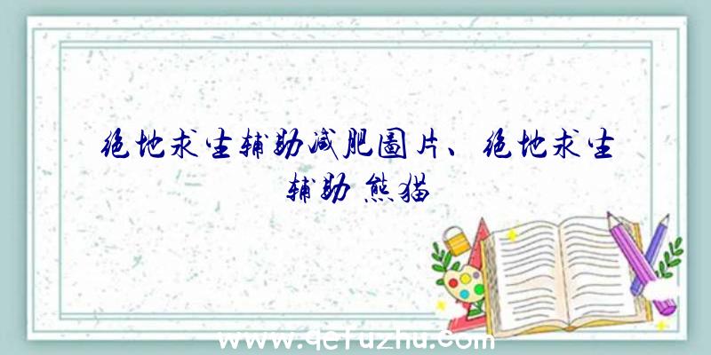 绝地求生辅助减肥图片、绝地求生辅助