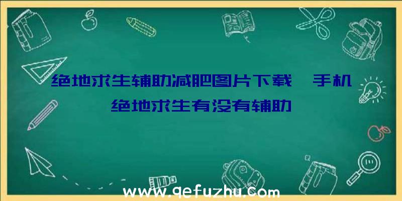 绝地求生辅助减肥图片下载、手机绝地求生有没有辅助