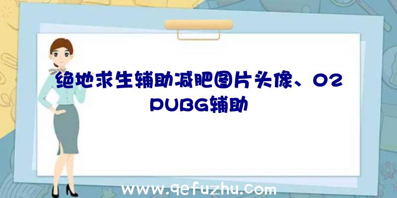 绝地求生辅助减肥图片头像、02PUBG辅助