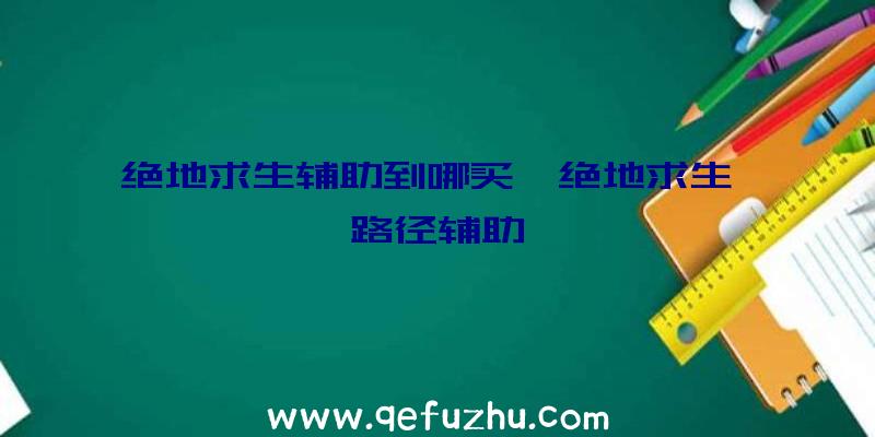 绝地求生辅助到哪买、绝地求生