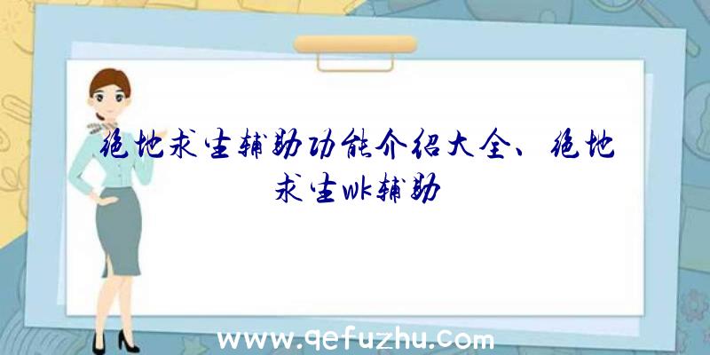 绝地求生辅助功能介绍大全、绝地求生wk辅助