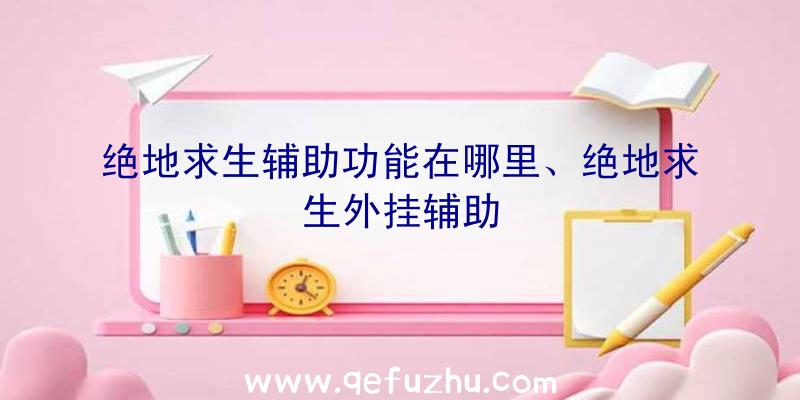 绝地求生辅助功能在哪里、绝地求生外挂辅助